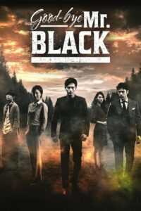 Goodbye Mr. Black (Tagalog Dubbed) (Complete)